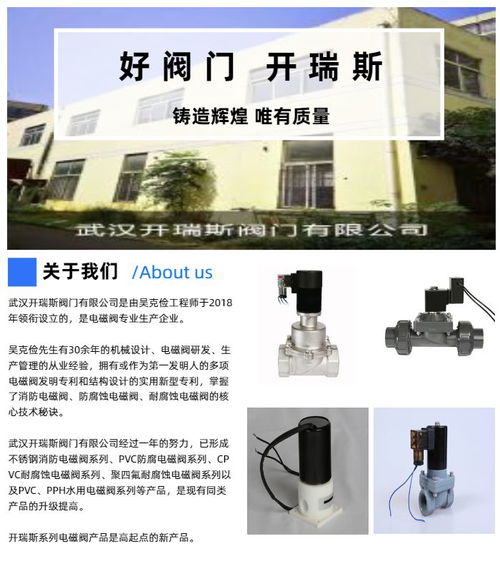 四氟電磁閥 耐腐蝕四氟電磁閥 開瑞斯