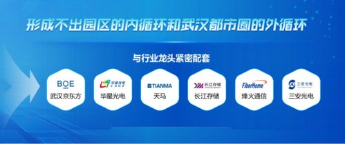 光電子信息產業強勢崛起,黃石為什么能