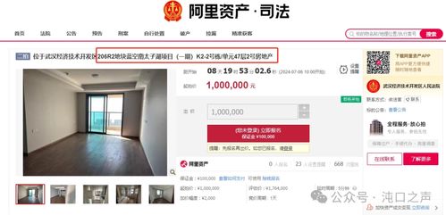 無力償還房貸 沌口核心商業住宅100萬起拍...