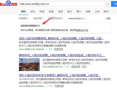 武漢企業(yè)公司網(wǎng)站做競價好還是做SEO優(yōu)化推廣好?