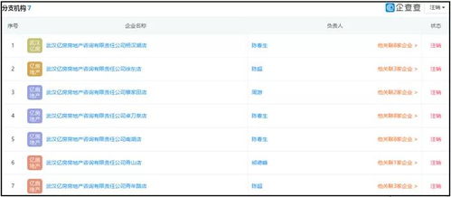 湖北消金合作方為客戶擔保引發(fā)關注，法院判決書揭示最高收取2%服務費