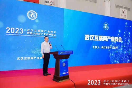 武漢互聯(lián)網(wǎng)產(chǎn)業(yè)峰會暨數(shù)字經(jīng)濟產(chǎn)業(yè)高峰論壇圓滿舉行，引領(lǐng)企業(yè)網(wǎng)站創(chuàng)新與變革