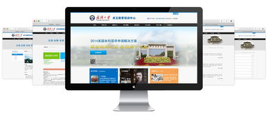 武漢大學(xué)卓玉教育培訓(xùn)中心 打造企業(yè)門戶網(wǎng)站的必要性與實踐